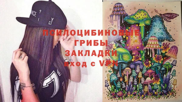 ПСИЛОЦИБИНОВЫЕ ГРИБЫ Киренск